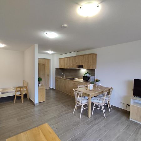 Hojsova Straz Brcalnik Apartman Hannzi Zelezna Ruda Bagian luar foto